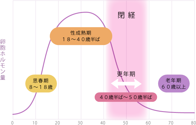 卵胞ホルモン量